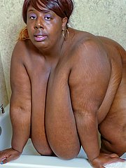 sexy black bbw
