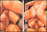 Erotic comics