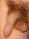 Sexy Boys World Free Pics