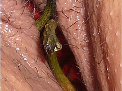 #6 Amateur Fisting Picture Sample