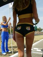 lycra spandex gallery