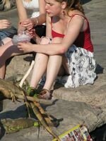 nude upskirt