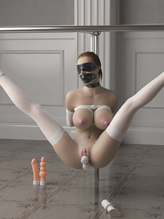 3D BDSM Porn