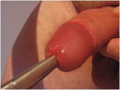 #1 Urethral Play Sample