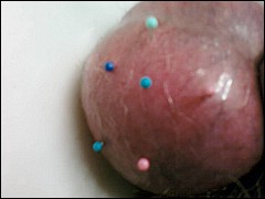 #2 Urethral Play Sample