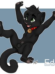 furries