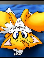furry artwork adult