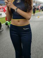 lycra spandex gallery